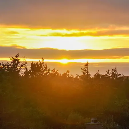 Elsa - 700m From The Sea By Interhome Nyaraló *